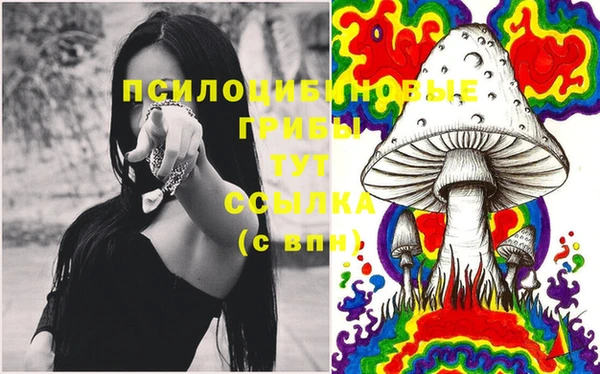 спиды Покровск