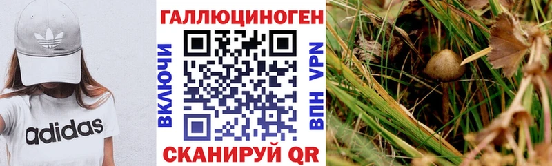 Галлюциногенные грибы мухоморы  Нижняя Тура 